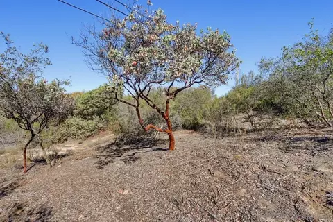 Exterior - 17532 Rav Ct, Jamul, CA 91935 photo 7 of 9