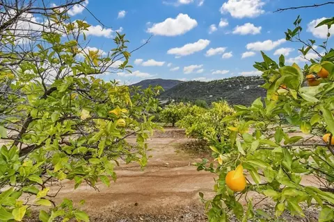 Other - 1478 Peutz Valley Rd, Alpine, CA 91901 photo 6 of 19