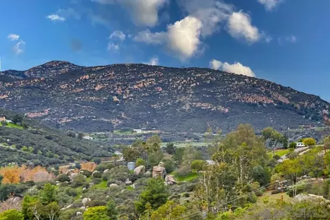 Other - 1478 Peutz Valley Rd, Alpine, CA 91901 photo 18 of 19
