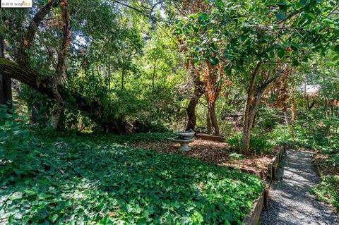 2168 Donald Dr, Moraga, CA 94556 photo 8