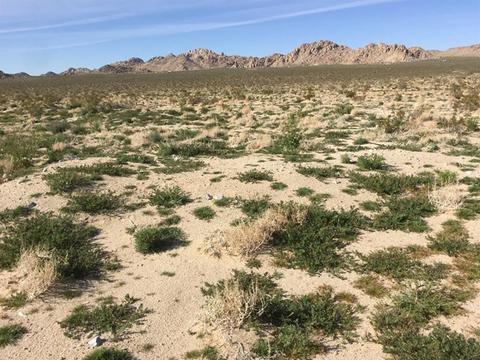 39224 End, Lucerne Valley, CA 92356 photo 22