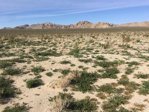 39224 End, Lucerne Valley, CA 92356 photo 17