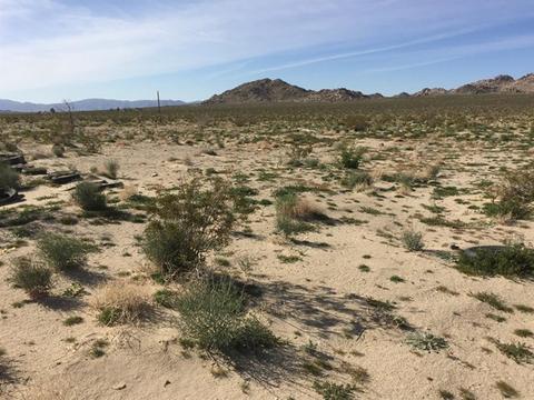 39224 End, Lucerne Valley, CA 92356 photo 13