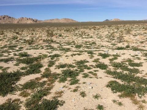 39224 End, Lucerne Valley, CA 92356 photo 20