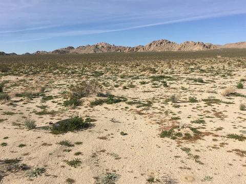 39224 End, Lucerne Valley, CA 92356 photo 10