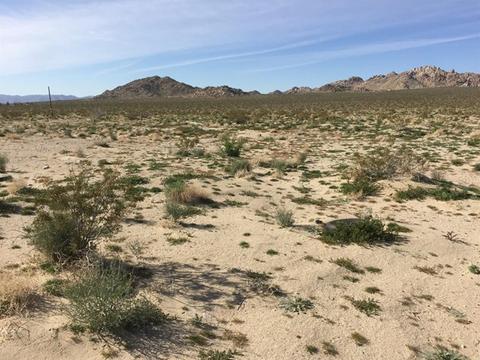 39224 End, Lucerne Valley, CA 92356 photo 12