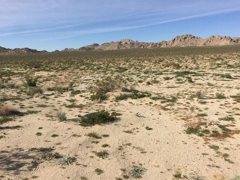 39224 End, Lucerne Valley, CA 92356 photo 11