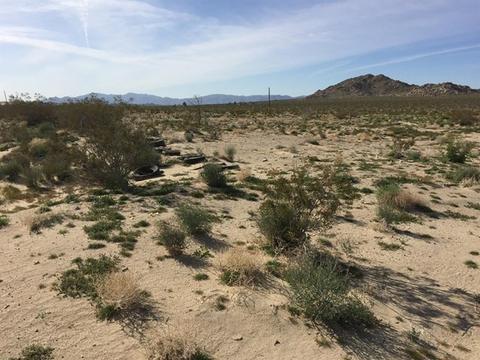 39224 End, Lucerne Valley, CA 92356 photo 15