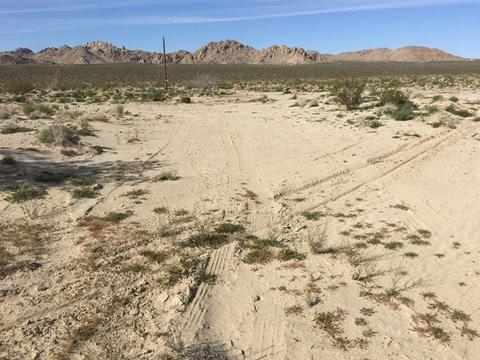 39224 End, Lucerne Valley, CA 92356 photo 4