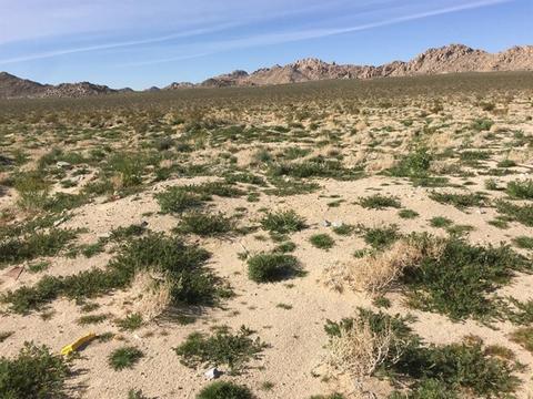 39224 End, Lucerne Valley, CA 92356 photo 23