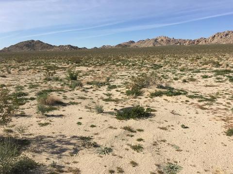 39224 End, Lucerne Valley, CA 92356 photo 5