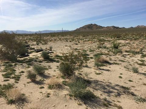 39224 End, Lucerne Valley, CA 92356 photo 14