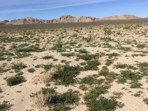 39224 End, Lucerne Valley, CA 92356 photo 21