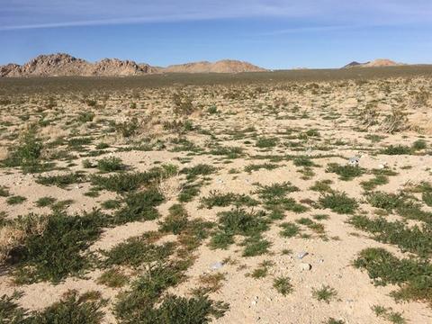 39224 End, Lucerne Valley, CA 92356 photo 8