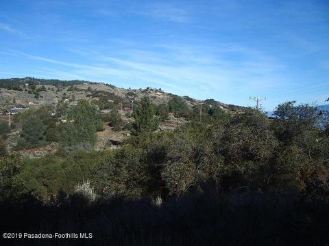 24841 Jacaranda, Tehachapi, CA 93561 photo 5