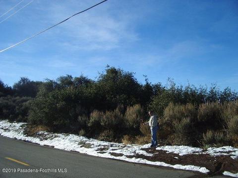 24841 Jacaranda, Tehachapi, CA 93561 photo 2