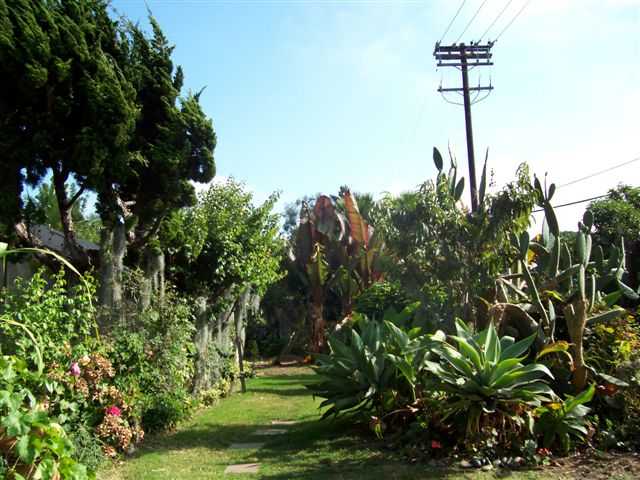 445 Camino Del Mar, Del Mar, CA 92014 photo 6