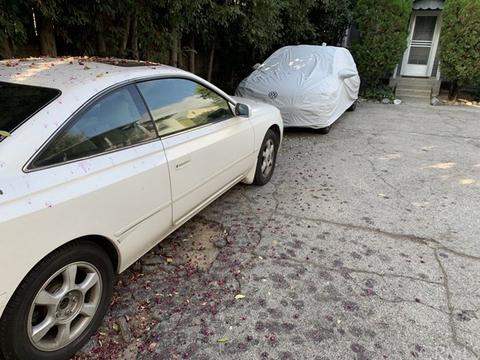 249 S Catalina Ave, Pasadena, CA 91106 photo 5