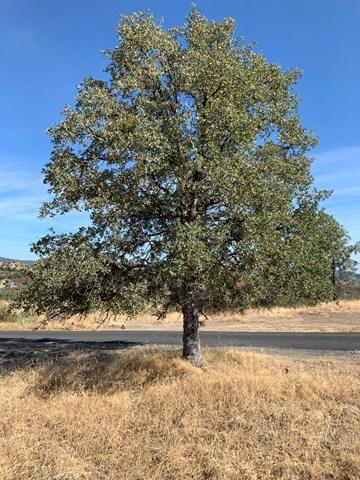 6930 Eagle Vw, Mountain Ranch, CA 95246 photo 5
