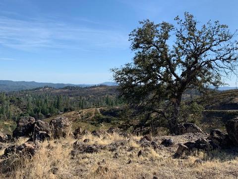 6930 Eagle Vw, Mountain Ranch, CA 95246 photo 3
