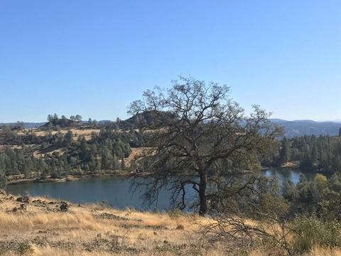 6930 Eagle Vw, Mountain Ranch, CA 95246 photo 10