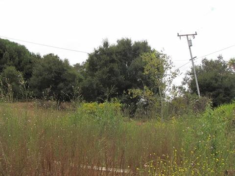 7689 Langley Cyn, Salinas, CA 93907 photo 13