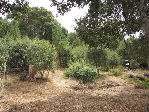 7689 Langley Cyn, Salinas, CA 93907 photo 12