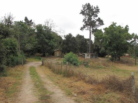 7689 Langley Cyn, Salinas, CA 93907 photo 2