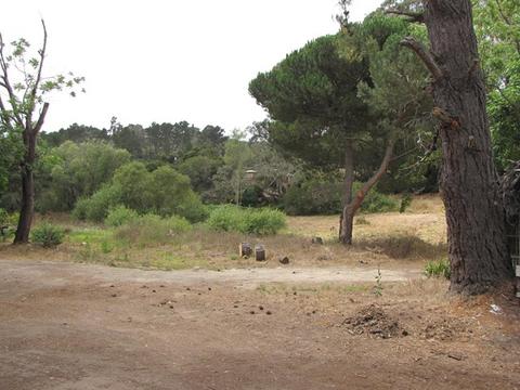 7689 Langley Cyn, Salinas, CA 93907 photo 11