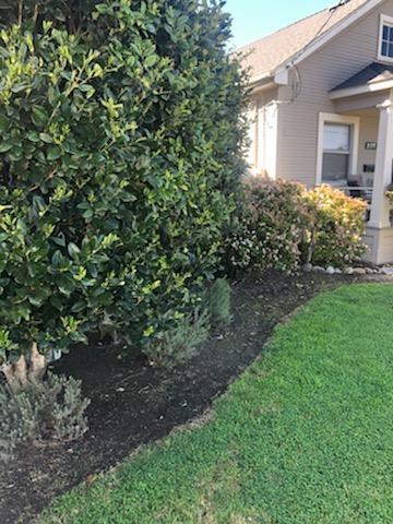 230 Riker Ter, Salinas, CA 93901 photo 3