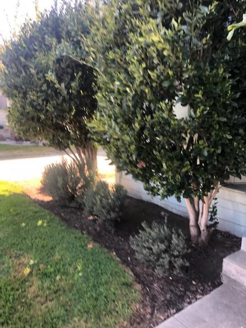 230 Riker Ter, Salinas, CA 93901 photo 4