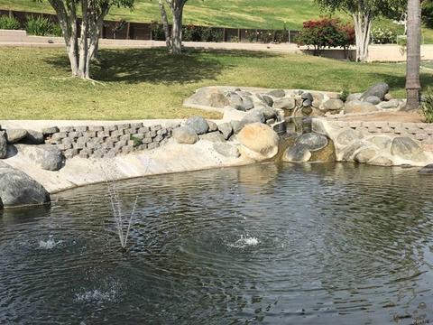 263 Brookside, Oceanside, CA 92056 photo 52