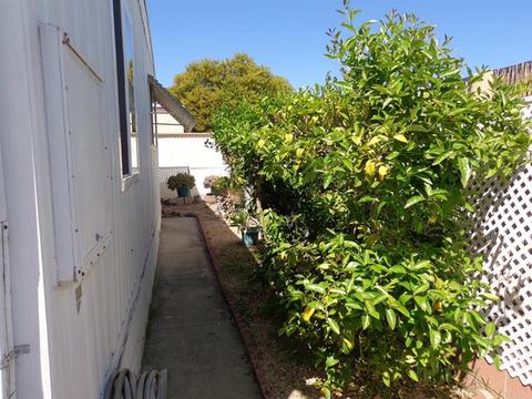 218 Starside, Oceanside, CA 92056 photo 7