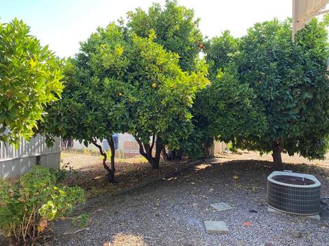 1010 E Bobier Dr #92, Vista, CA 92084 photo 36