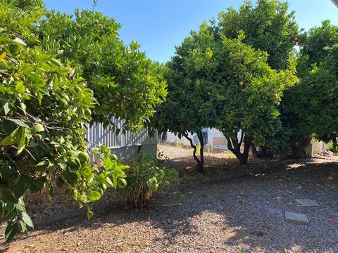 1010 E Bobier Dr #92, Vista, CA 92084 photo 37