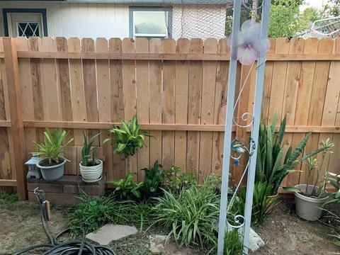 200 Olive #G, Vista, CA 92083 photo 32
