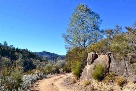 75240 Copperhead, Bradley, CA 93426 photo 5