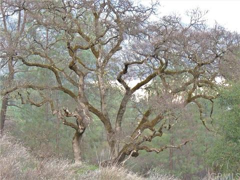 258 Middlefork, Oroville, CA 95966 photo 8