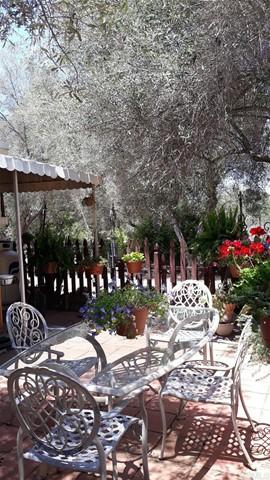 13838 Campo #10, Jamul, CA 91935 photo 9