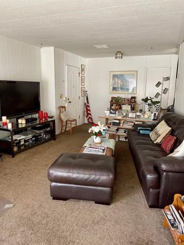 8301 Mission Gorge #341, Santee, CA 92071 photo 7