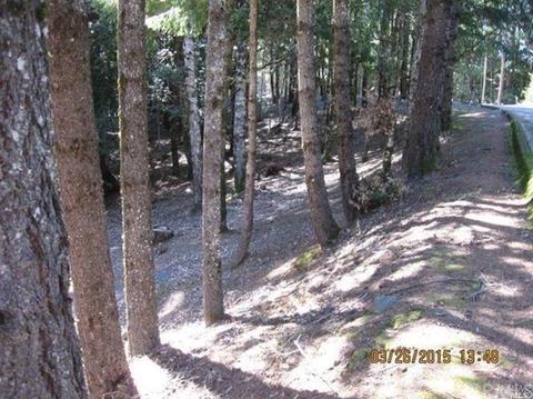 2655 Goose, Willits, CA 95490 photo 1