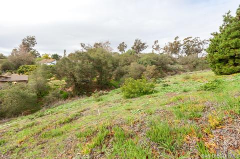 619 Elm Tree Ln, Fallbrook, CA 92028 photo 23