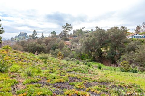 619 Elm Tree Ln, Fallbrook, CA 92028 photo 24