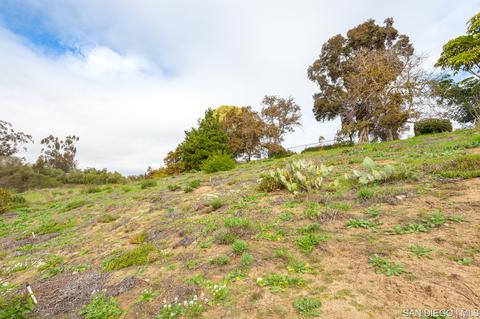 619 Elm Tree Ln, Fallbrook, CA 92028 photo 22