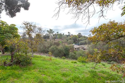 619 Elm Tree Ln, Fallbrook, CA 92028 photo 18