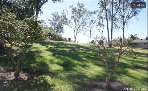 2033 Red Coach Ln, Encinitas, CA 92024 photo 4