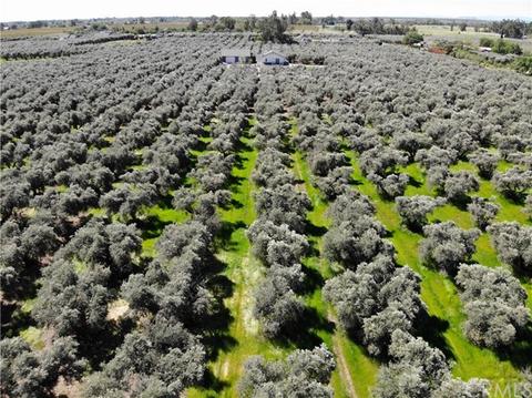 4900 Rawson, Corning, CA 96021 photo 12