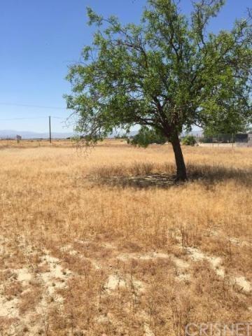3349 E Avenue I, Lancaster, CA 93535 photo 3