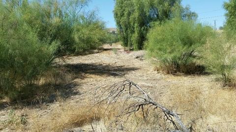 27060 Irma, Perris, CA 92570 photo 4
