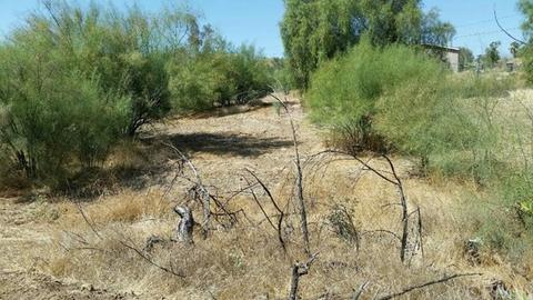 27060 Irma, Perris, CA 92570 photo 5